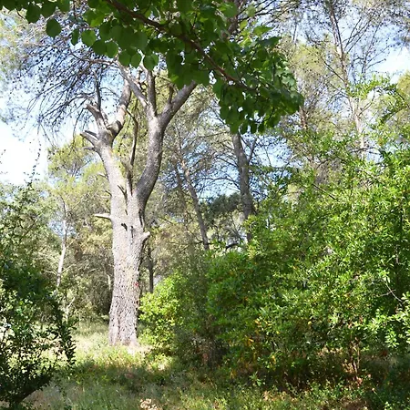 La Poésie Au Chemin Du Bois Maison d'hôtes Saint-Geniès-des-Mourgues
